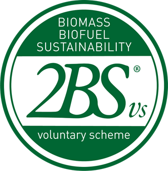 2BSVS